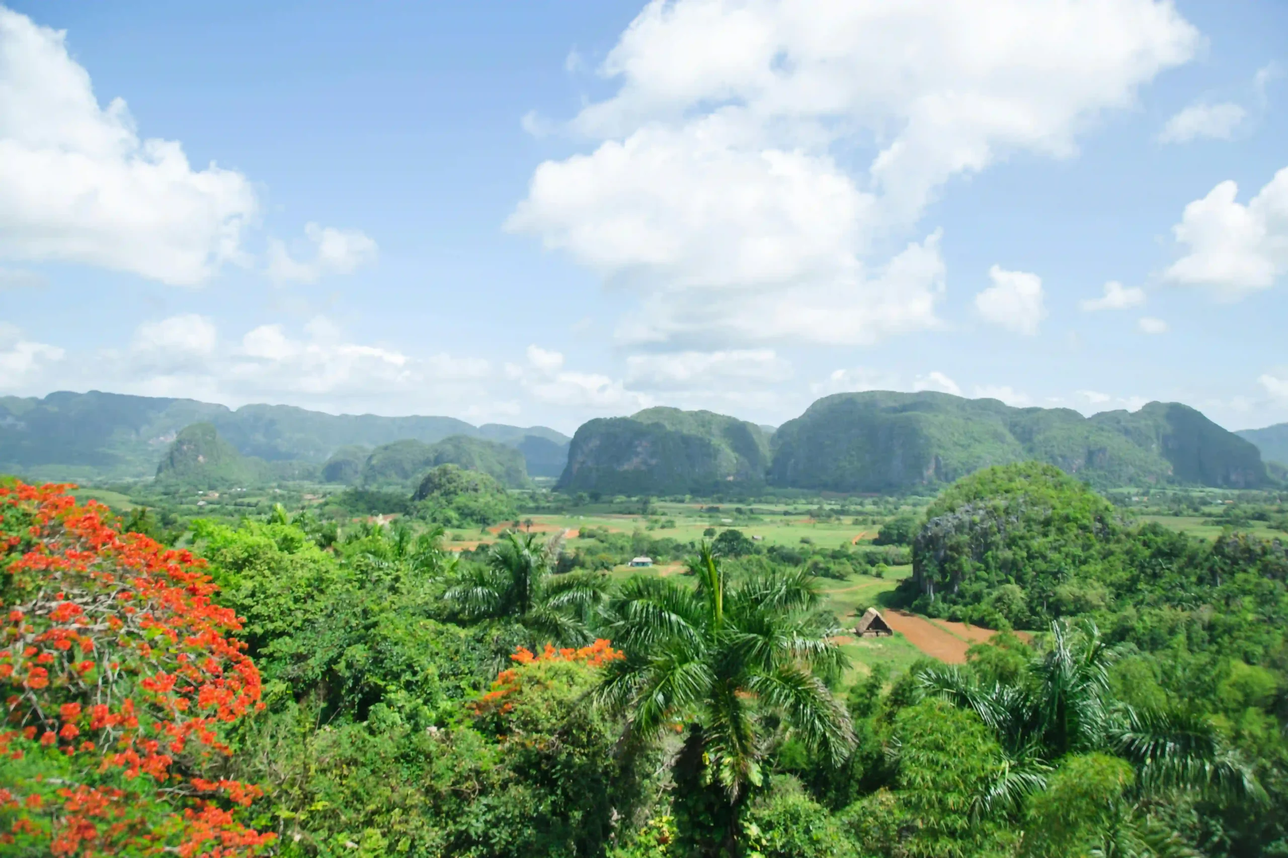 viñales